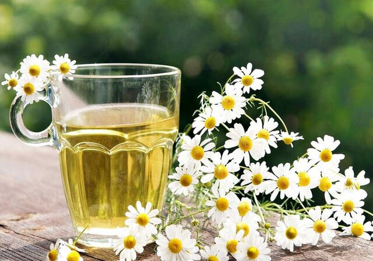 ۵ دمنوش عالی برای کاهش استرس و اضطراب ۵ دمنوش عالی برای کاهش استرس و اضطراب