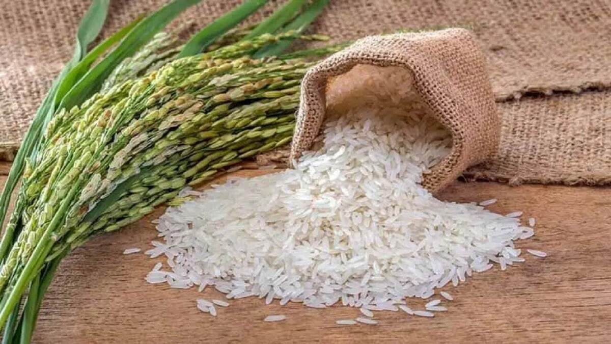 موضوع واردات ۶۰ هزار تن برنج تقلبی به کشور چه بود؟ موضوع واردات ۶۰ هزار تن برنج تقلبی به کشور چه بود؟
