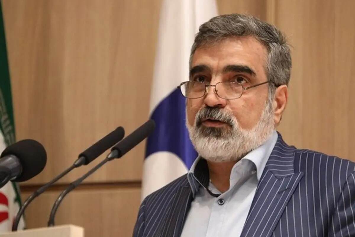 معاون سازمان انرژی اتمی: برای تقابل آمادهایم اما تعامل را ترجیح میدهیم معاون سازمان انرژی اتمی: برای تقابل آمادهایم اما تعامل را ترجیح میدهیم