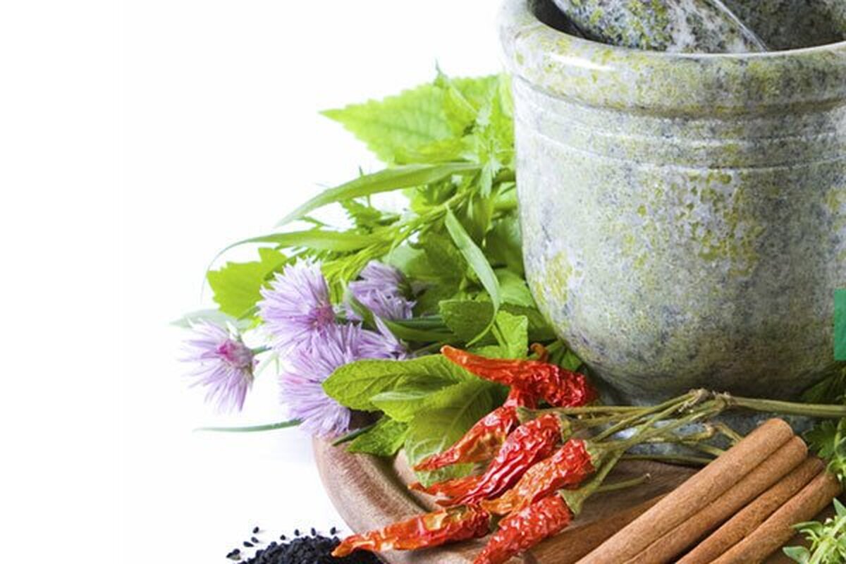 چگونه با طب سنتی لاغر شویم+ روشهای پاکسازی بدن چگونه با طب سنتی لاغر شویم+ روشهای پاکسازی بدن