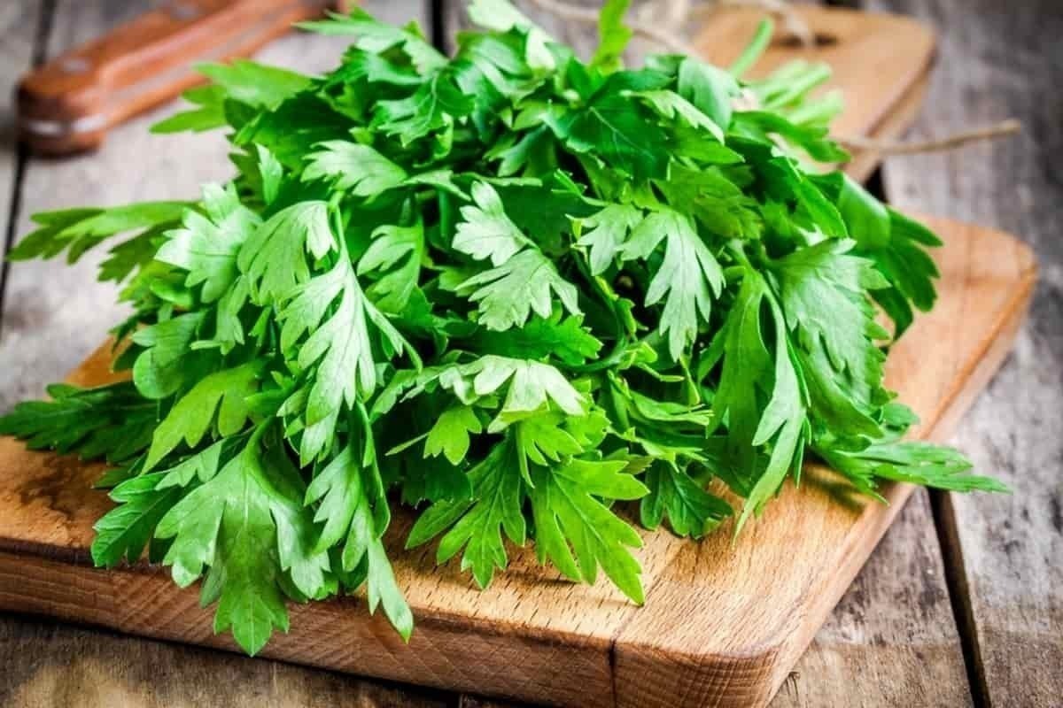 تقویت قوای جنسی با مصرف این نوع سبزی تقویت قوای جنسی با مصرف این نوع سبزی
