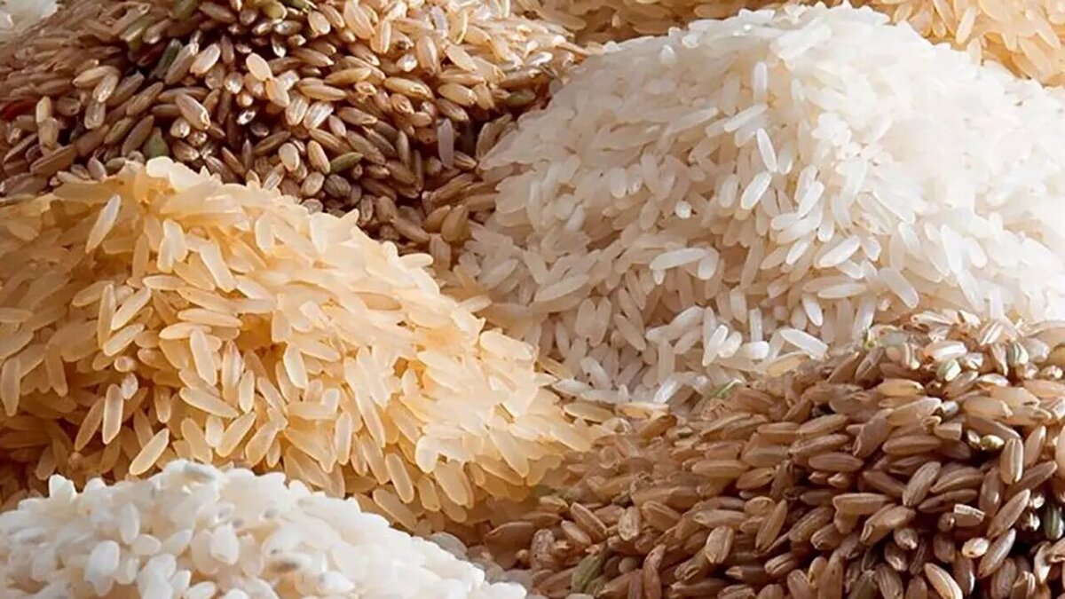 برنج پاکستانی طبیعت چند؟ + جدول قیمت ۱۱ فروردین ۱۴۰۴ برنج پاکستانی طبیعت چند؟ + جدول قیمت ۱۱ فروردین ۱۴۰۴