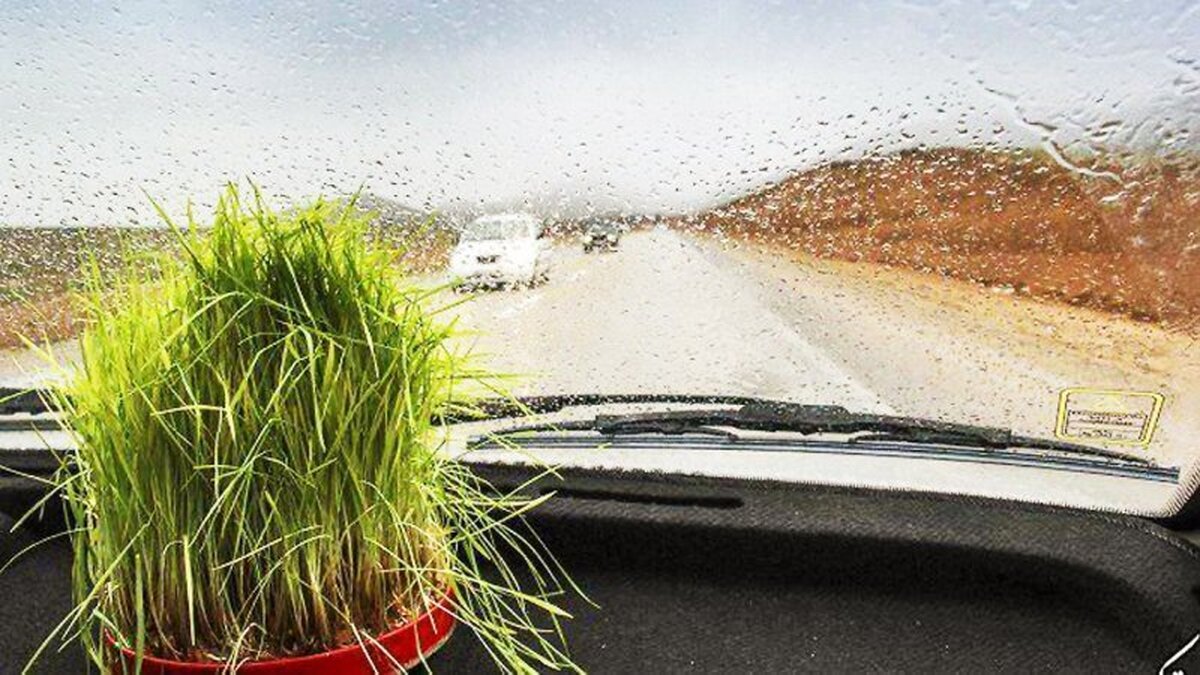 سیزده به در بارانی است سیزده به در بارانی است