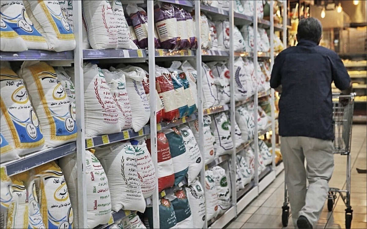 قیمت برنج ایرانی ۱۵ فروردین ۱۴۰۴ / برنج قهوهای طارم هاشمی کیلویی چند؟ + جدول قیمت برنج ایرانی ۱۵ فروردین ۱۴۰۴ / برنج قهوهای طارم هاشمی کیلویی چند؟ + جدول
