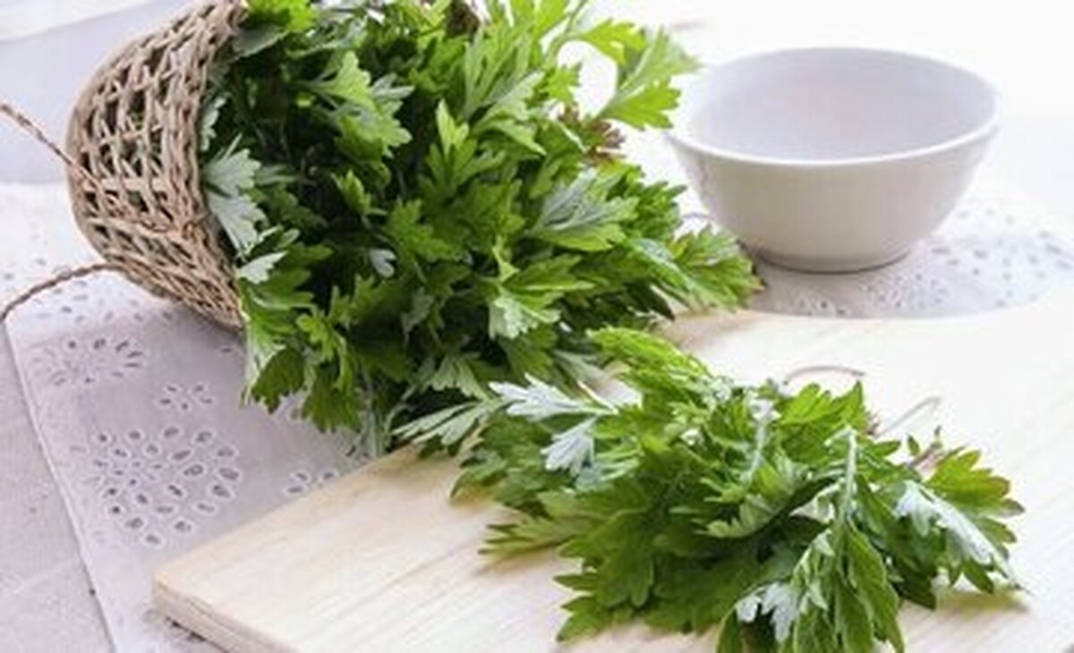 دشمن گیاهیِ سرطان روده بزرگ شناسایی شد دشمن گیاهیِ سرطان روده بزرگ شناسایی شد