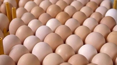 قیمت جدید انواع تخم مرغ اعلام شد