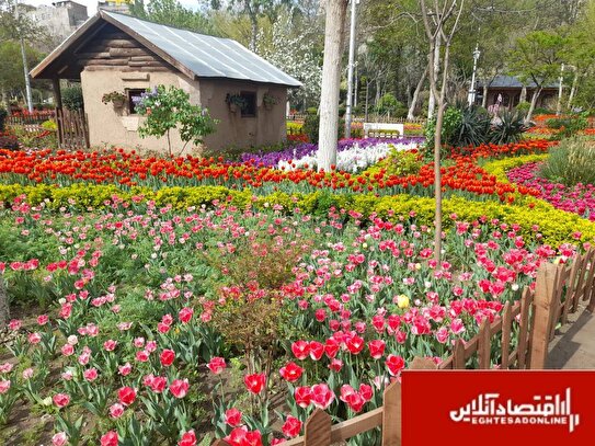 شهرداری کرج در یازدهمین «جشنواره لاله‌های کرج» میزبان پایتخت نشینان است
