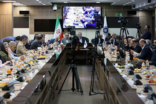 ضرورت عدم رقابت دولت با بخش خصوصی/ اقتصاد ایران به ریل‌گذاری جدیدی نیاز دارد