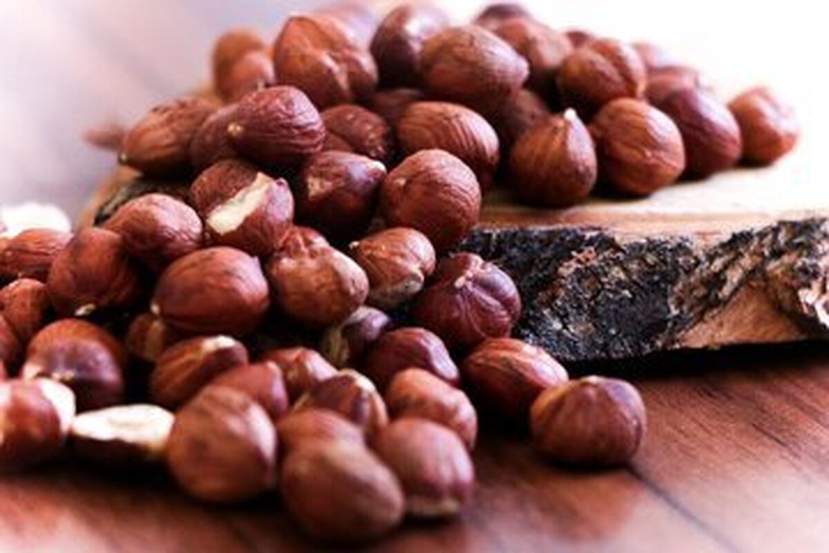 این مغز یک نوع مولتیویتامین محسوب میشود این مغز یک نوع مولتیویتامین محسوب میشود