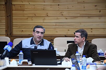 توسعه همکاریهای مشترک گروه مپنا با گروه صنعتی ایران ترانسفو
