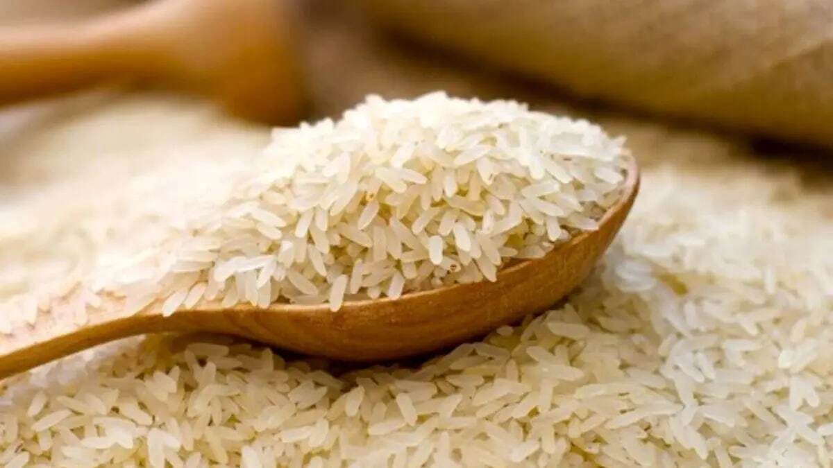قیمت برنج خارجی ۴ فروردین ۱۴۰۴ / برنج پاکستانی کیلویی ۱۱۰ هزار تومان شد قیمت برنج خارجی ۴ فروردین ۱۴۰۴ / برنج پاکستانی کیلویی ۱۱۰ هزار تومان شد