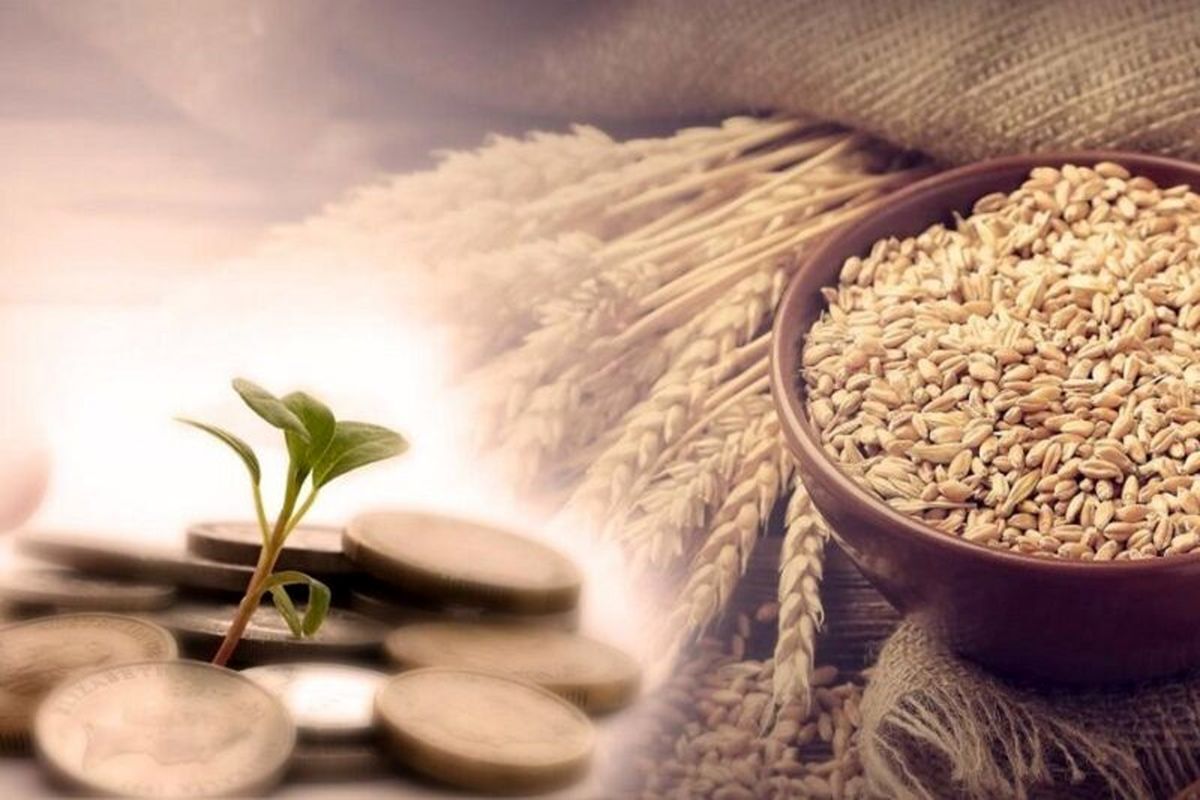 برای اولین بار؛ تعیین مبلغ فطریه به تفکیک استانها برای اولین بار؛ تعیین مبلغ فطریه به تفکیک استانها