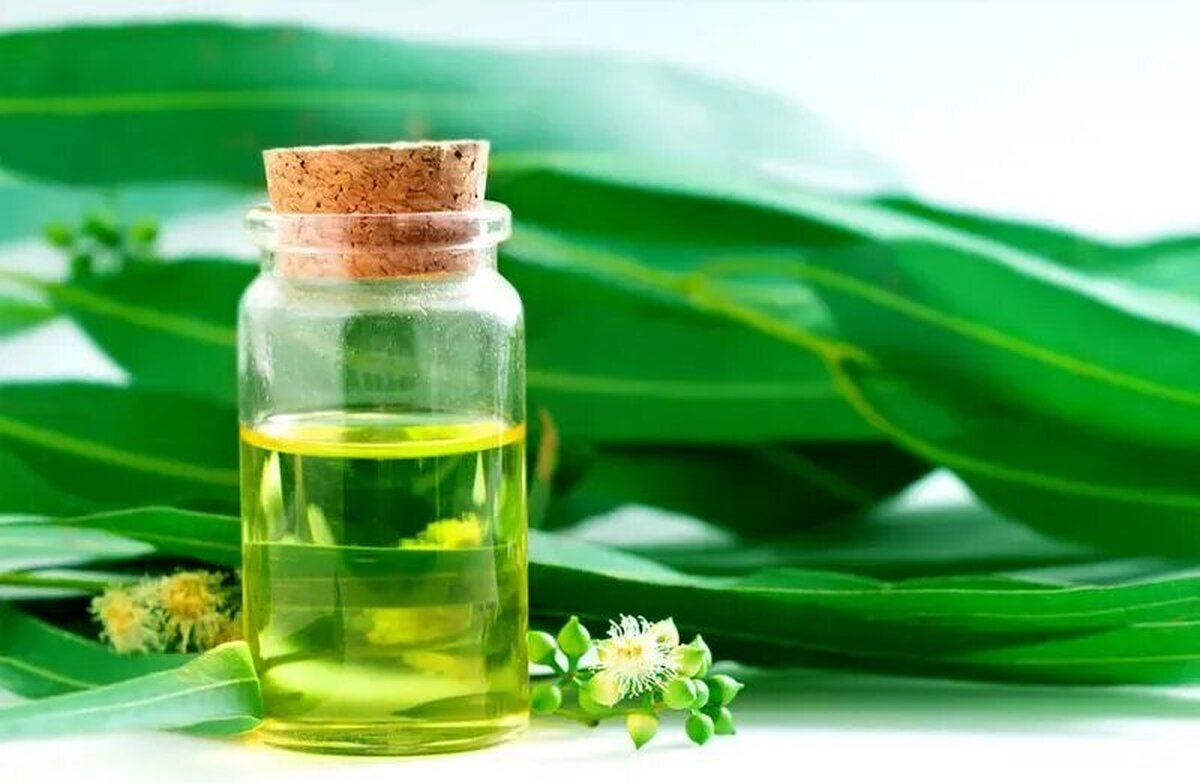 معجزه این روغنهای گیاهی برای درمان آلرژی بهار را تجربه کنید معجزه این روغنهای گیاهی برای درمان آلرژی بهار را تجربه کنید