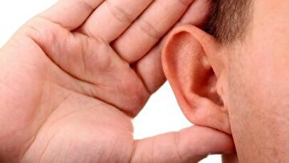 بیماری نقی معمولی «پایتخت» لو رفت