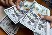 نماینده مجلس افشا کرد: برخی ۱۱۷ میلیارد دلار ارز را در بازار آزاد فروخته‌اند و باز نگردانده‌اند