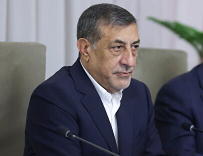 معاون اجرایی رئیس جمهور: دولت مردم را رها نکرده است