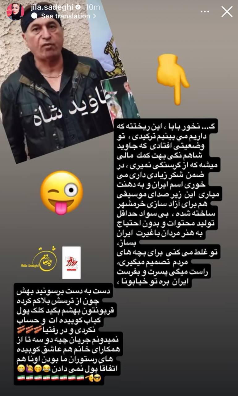 استوری تند و عجیب ژیلا صادقی علیه حمید فرخ‌نژاد