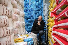 عرضه سنگین برنج به بازار / سقوط قیمت برنج آغاز شد