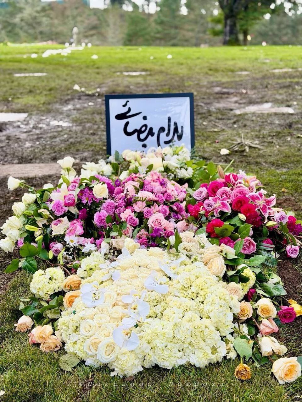 اولین عکس از آرامگاه بهرام بیضایی