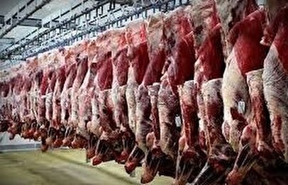 قیمت گوشت اعلام شد/ تامین نیاز بازار پس از حذف ارز ترجیحی