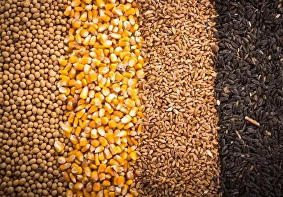 آخرین وضعیت نهاده‌های دامی کشور