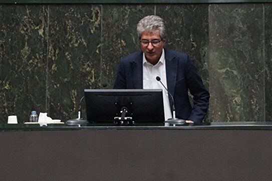 حذف ارز ترجیحی گامی اساسی در مبارزه با فساد و رانت‌خواری است