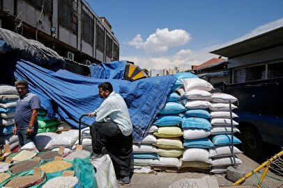 بخشنامه مهم گمرک ایران / محموله‌های برنج در گمرکات تعیین تکلیف شد