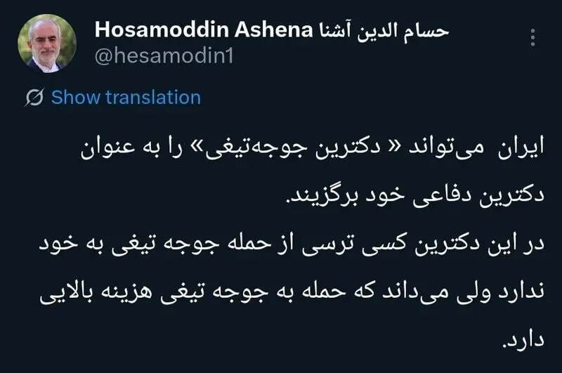 پیشنهاد عجیب مشاور روحانی برای دکترین دفاعی ایران / ایران باید جوجه‌تیغی شود!