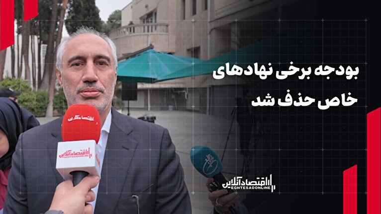 بودجه برخی نهادهای خاص حذف شد