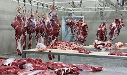 عرضه گوشت با قیمت دولتی در میادین میوه و تره بار