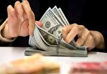 کاهش سهم دلار آمریکا از ذخایر جهانی/ مدیران به دنبال تنوع بخشیدن به ذخایر هستند