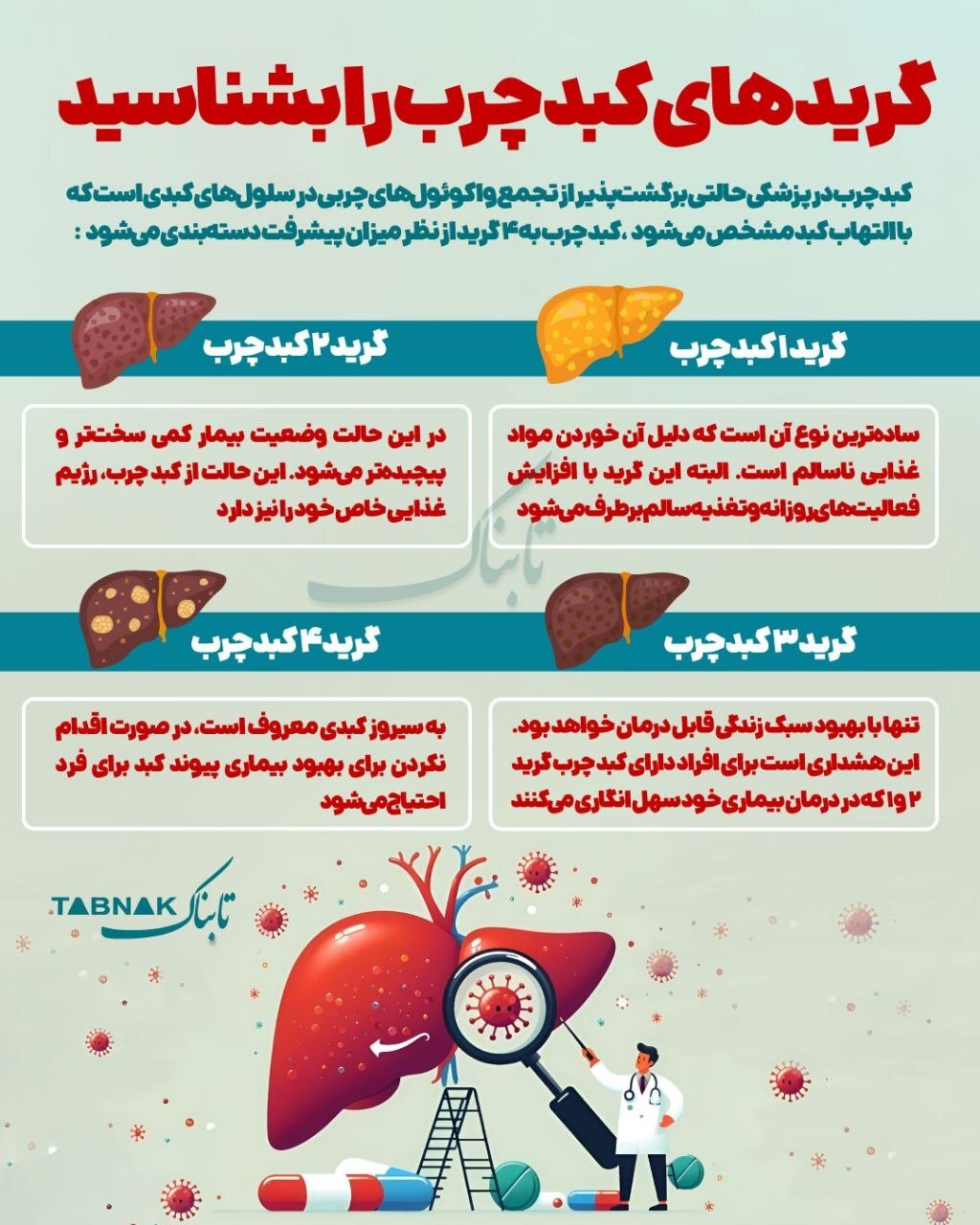 گرید های کبد چرب را بشناسید