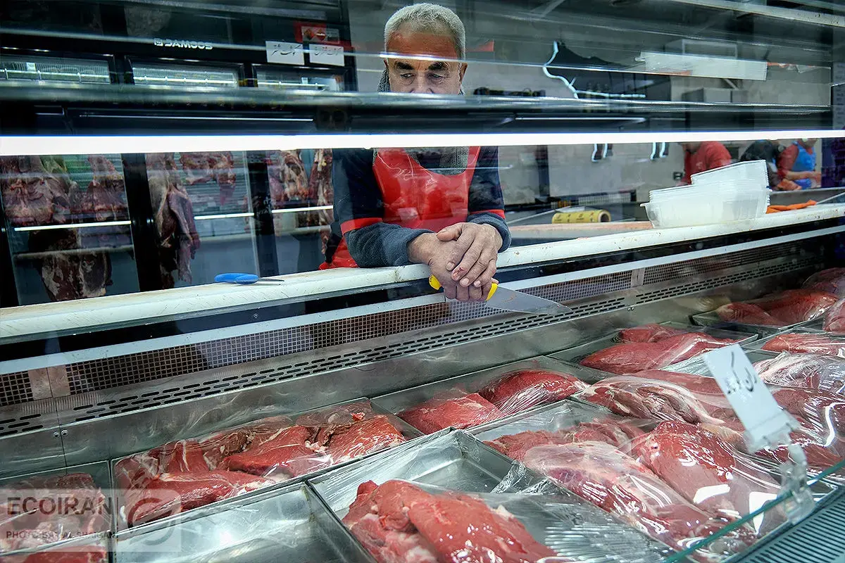 کاهش چشمگیر قیمت گوشت قرمز در بازار امروز/ گوشت گوسفندی به چند تومان رسید؟