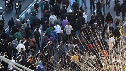 در حوادث اخیر چند دانشجو جان باختند؟