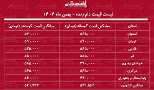قیمت جدید دام زنده امروز ۲۵ بهمن ۱۴۰۴ / گوسفند زنده کیلویی چند شد؟ + جدول