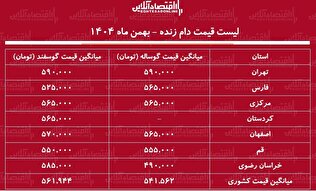 لیست قیمت دام زنده امروز ۲۷ بهمن ۱۴۰۴ / قیمت گوساله و گوسفند در تهران چند شد؟ + جدول