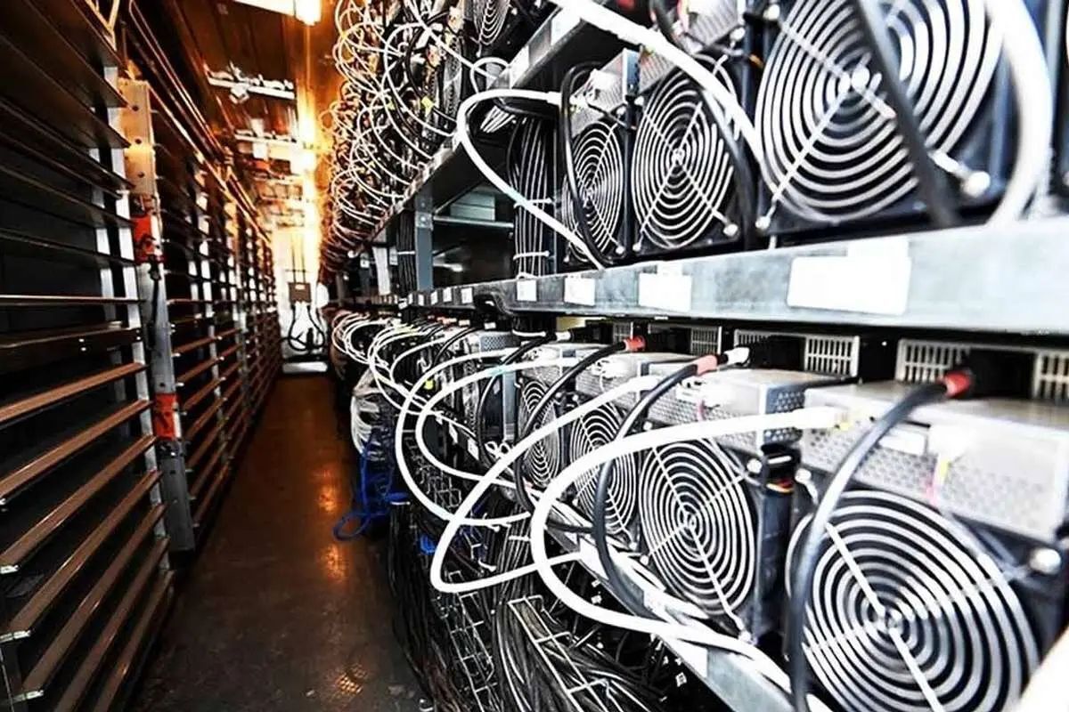 قاتل برق کشور شناسایی شد