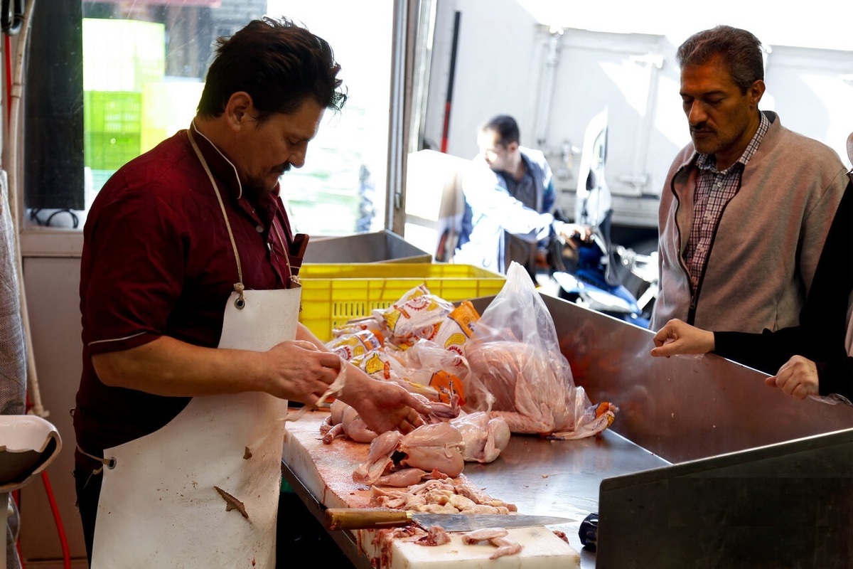 بازار مرغ در شوک بزرگ / قیمت مرغ ناگهان افزایش یافت