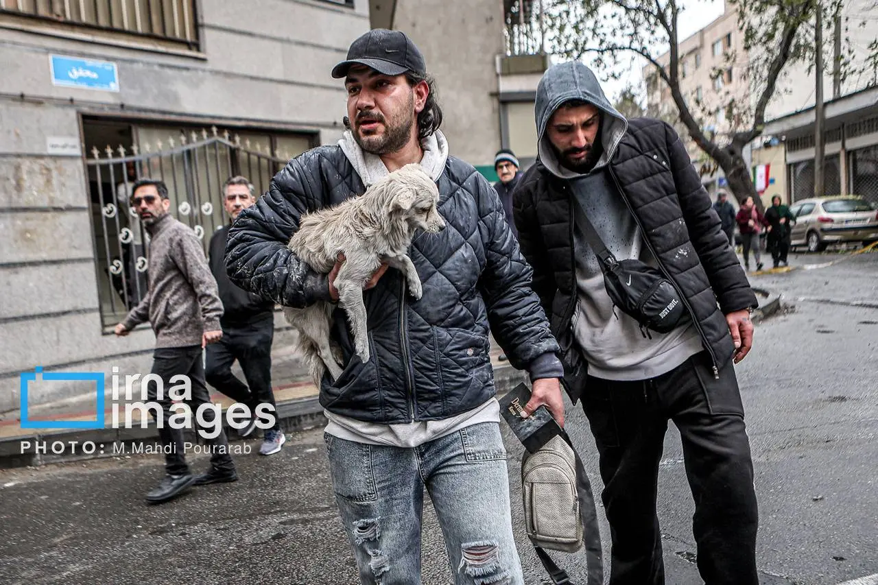 تصاویر دردناک از آوارگی حیوانات خانگی زیر سایه جنگ