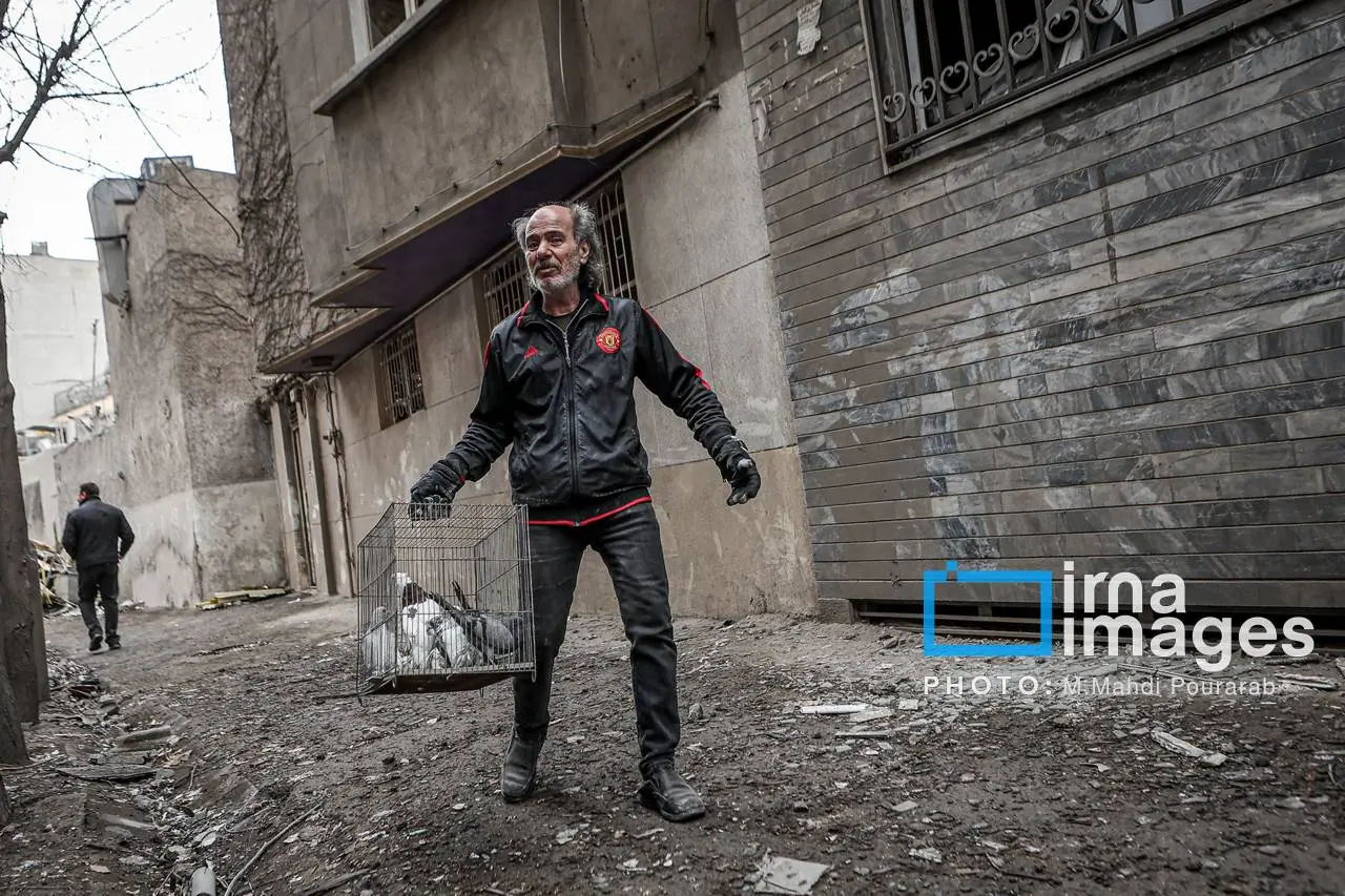 تصاویر دردناک از آوارگی حیوانات خانگی زیر سایه جنگ