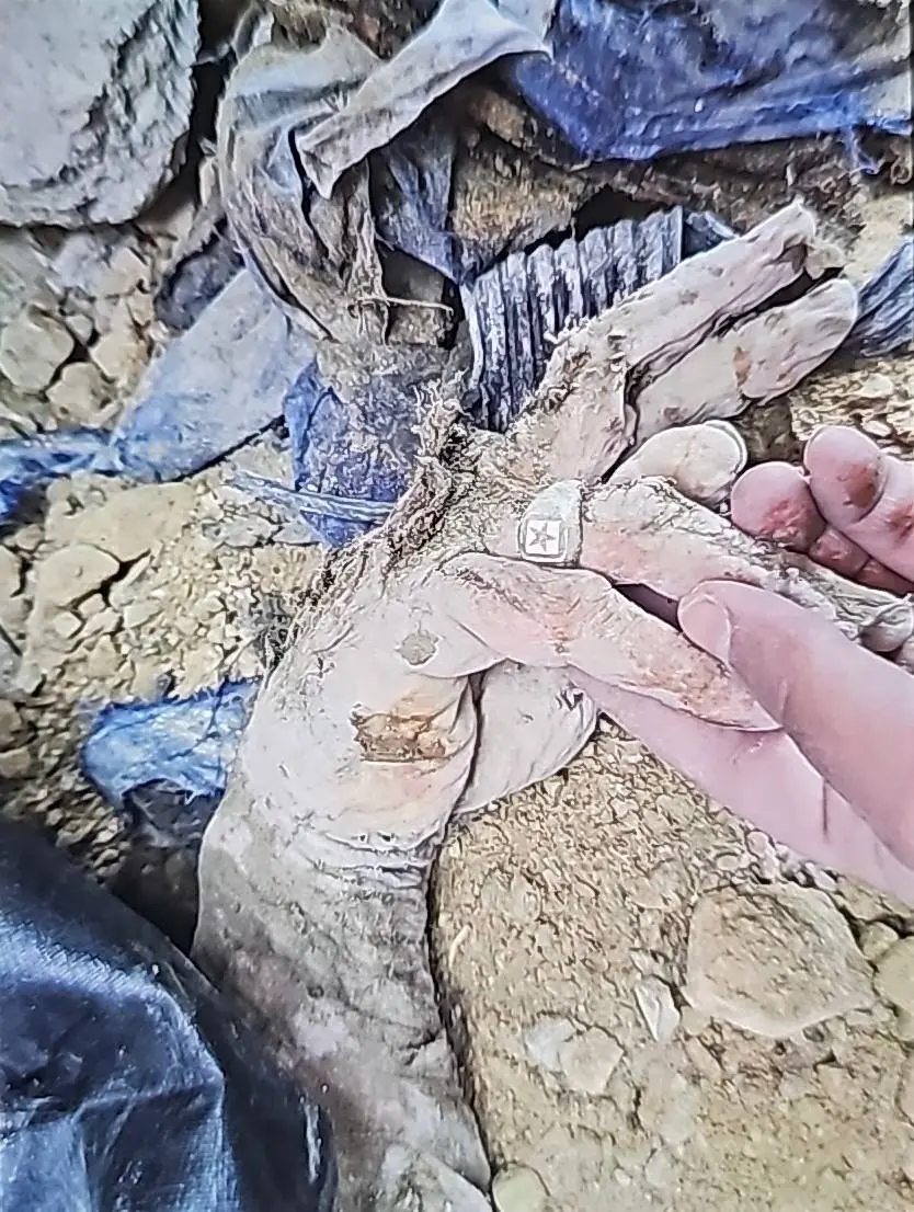 انتشار تصویر منتسب به دست علی لاریجانی پس از شهادت + عکس