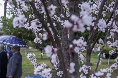 نمایی از رنگین کمان زیبا در تهران پیش از لحظه تحویل سال+ عکس