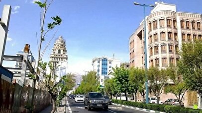 مسکن دیگر دلار محور نیست / مصرف‌کننده در تحلیل بازار اشتباه می‌کند