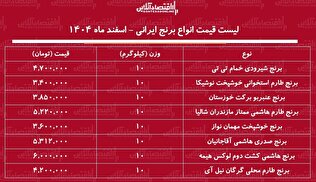 قیمت جدید انواع برنج ایرانی ۸ اسفند ۱۴۰۴ / کیسه ۱۰ کیلویی برنج عنبربو، طارم، صدری، شیرودی و ...چند شد؟ + جدول