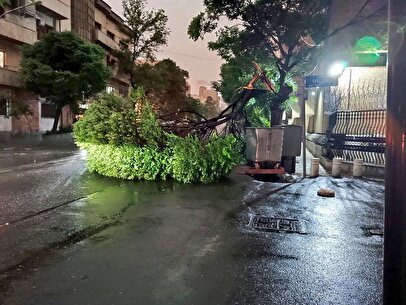 طوفان سه شنبه شب پایتخت ۶ مصدوم داشت