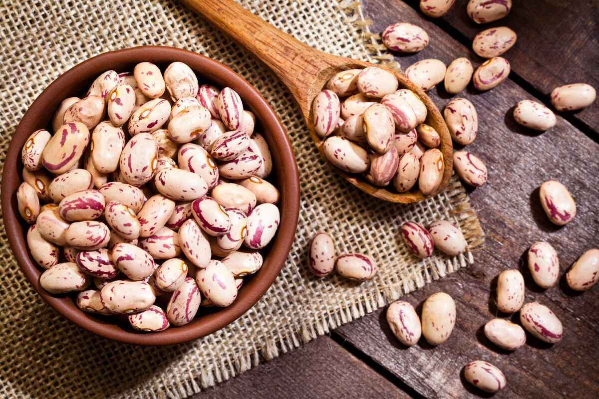  چرا قیمت لوبیاچیتی سر به فلک کشید؟ 