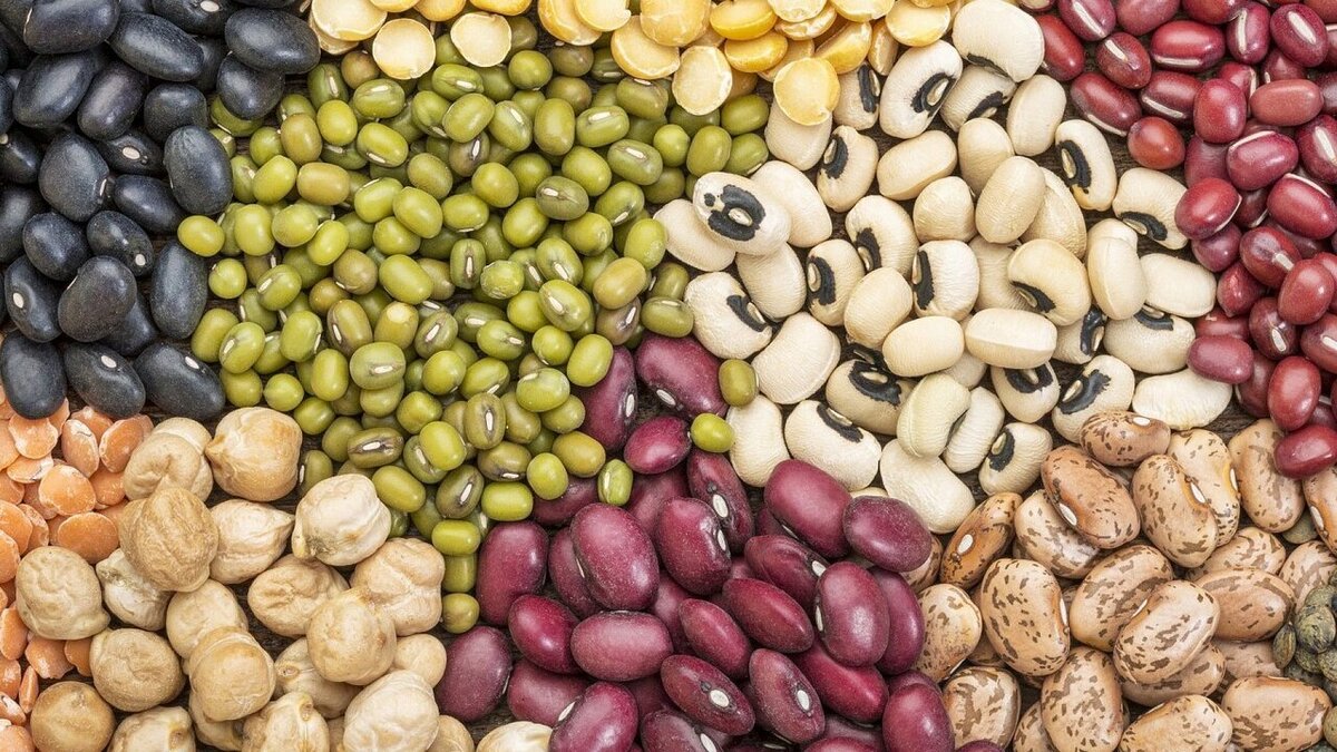 قیمت حبوبات قرار است تا کجا افزایش پیدا کند؟ قیمت حبوبات قرار است تا کجا افزایش پیدا کند؟