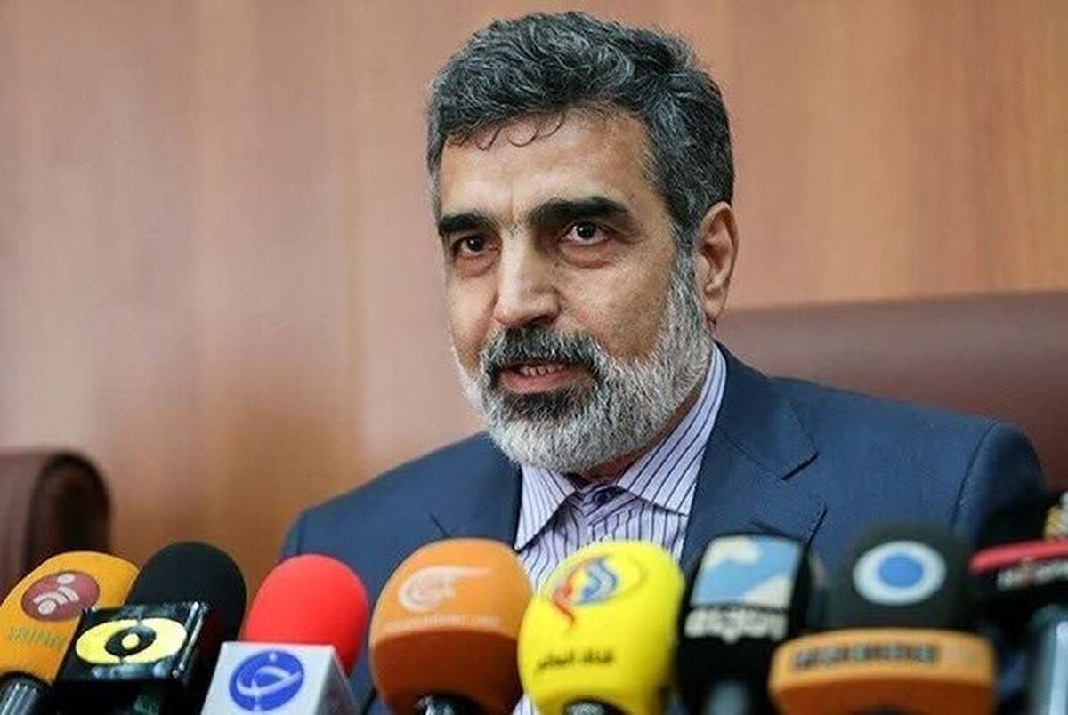  کمالوندی: برخورداری کامل از فناوری صلح‌آمیز هسته‌ای، حق ایران است 
