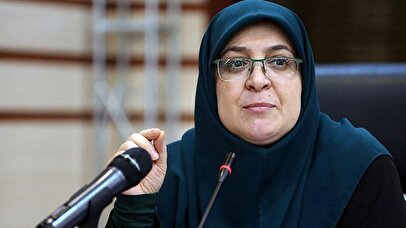 واکنش تند مهاجرانی به تغییر نام خلیج فارس
