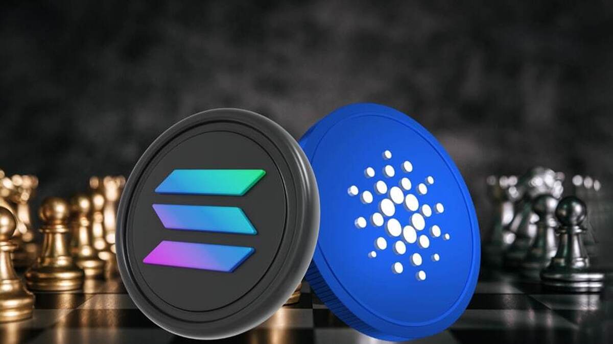  سولانا یا کاردانو: کدام یک را برای خرید انتخاب کنیم؟ 